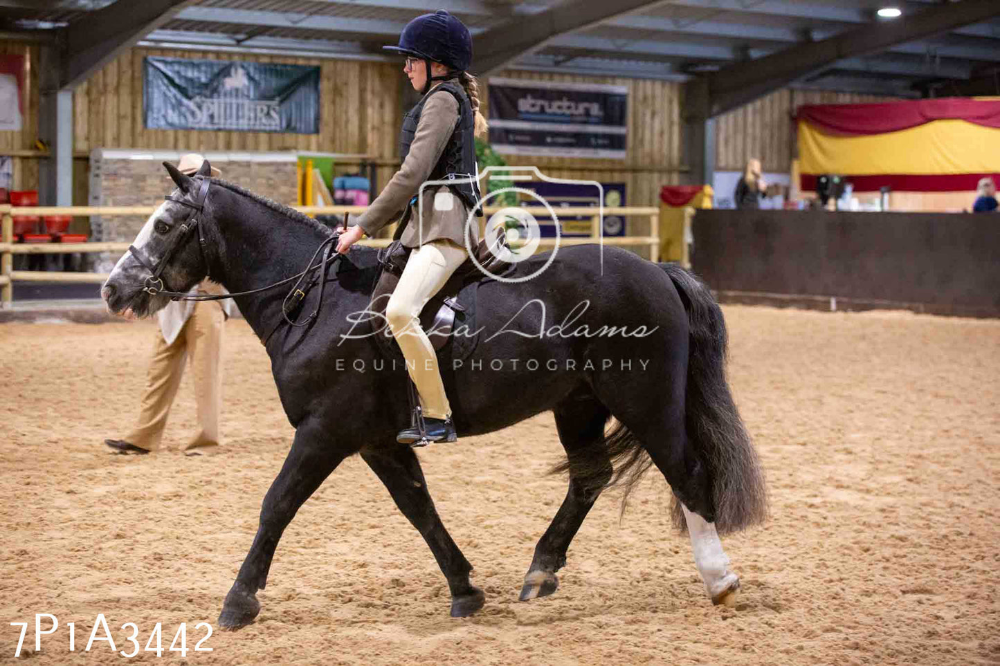 Home Farm Funshine Show 2024 - Ridden Showing 15th September