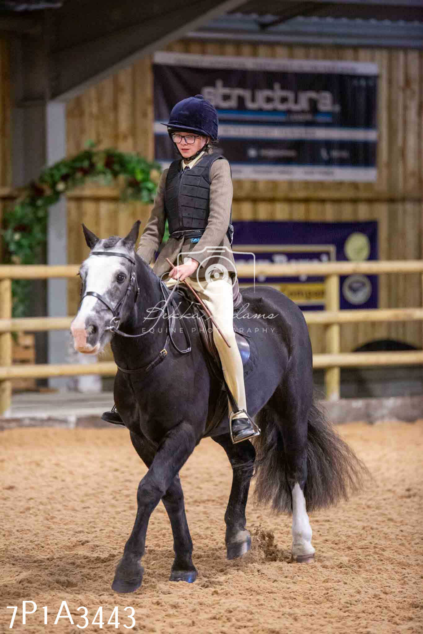 Home Farm Funshine Show 2024 - Ridden Showing 15th September