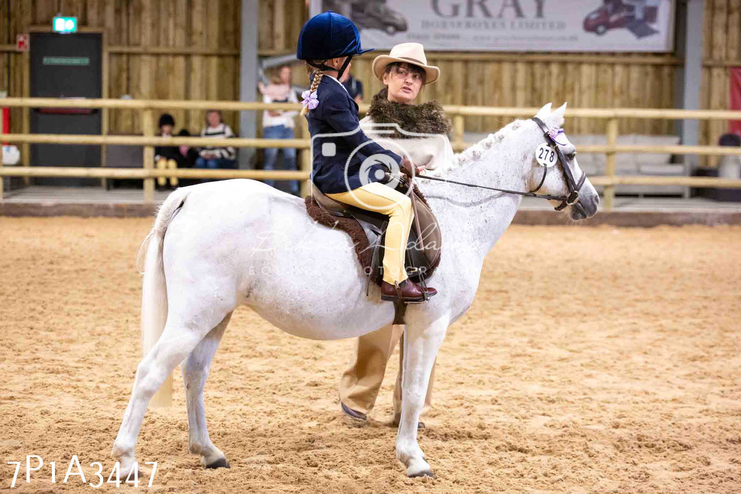 Home Farm Funshine Show 2024 - Ridden Showing 15th September