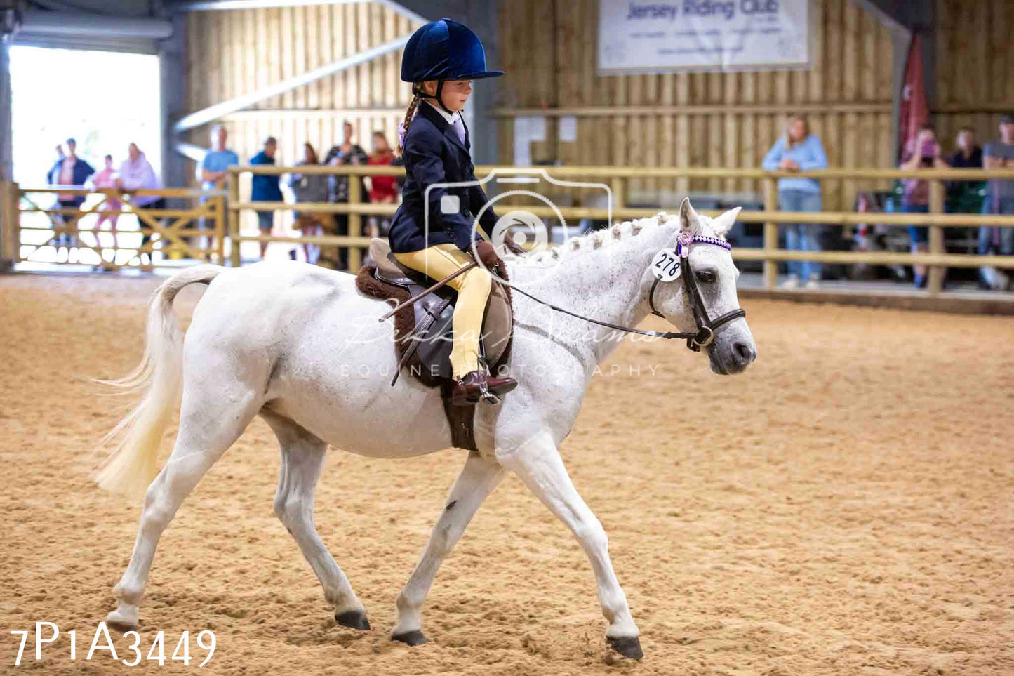 Home Farm Funshine Show 2024 - Ridden Showing 15th September