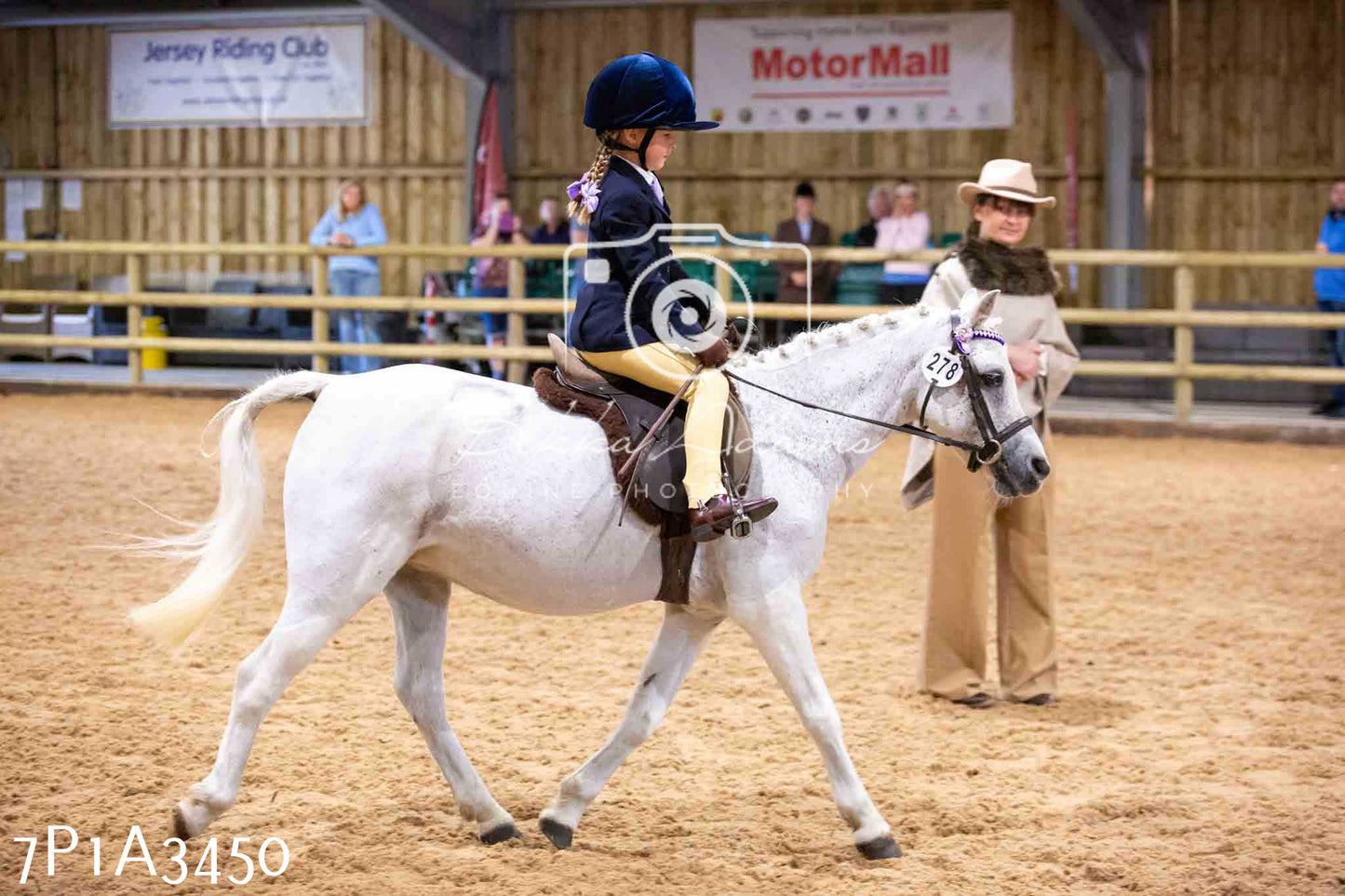 Home Farm Funshine Show 2024 - Ridden Showing 15th September