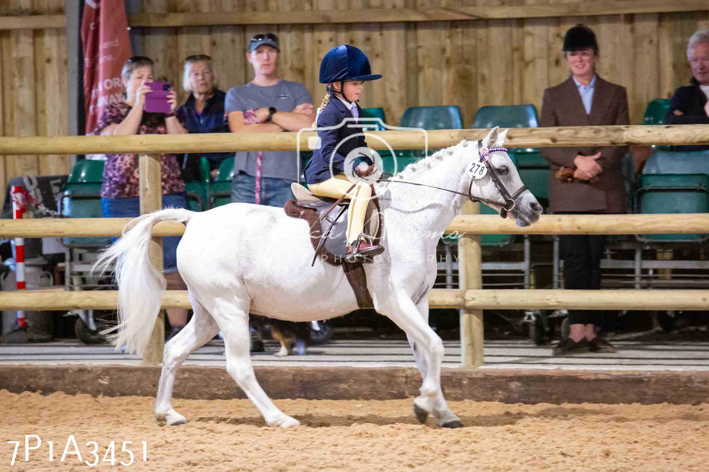 Home Farm Funshine Show 2024 - Ridden Showing 15th September