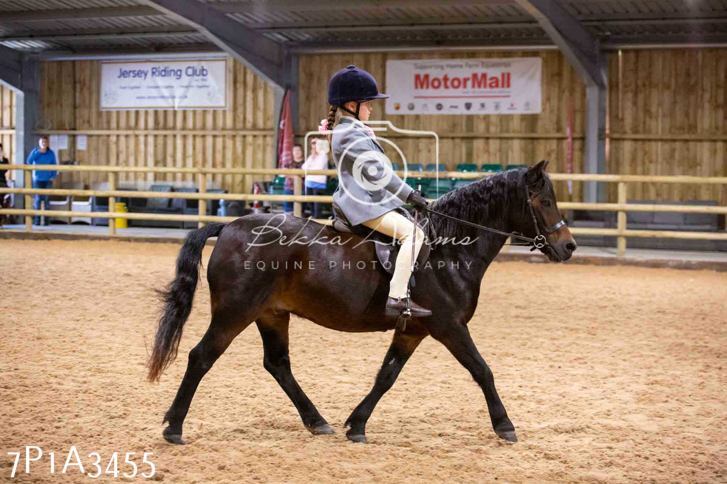 Home Farm Funshine Show 2024 - Ridden Showing 15th September