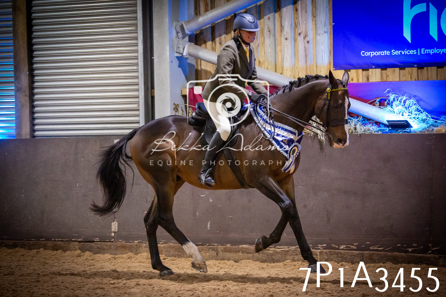 JHOYS 2025 - Ridden Showing - 28th September - pt4