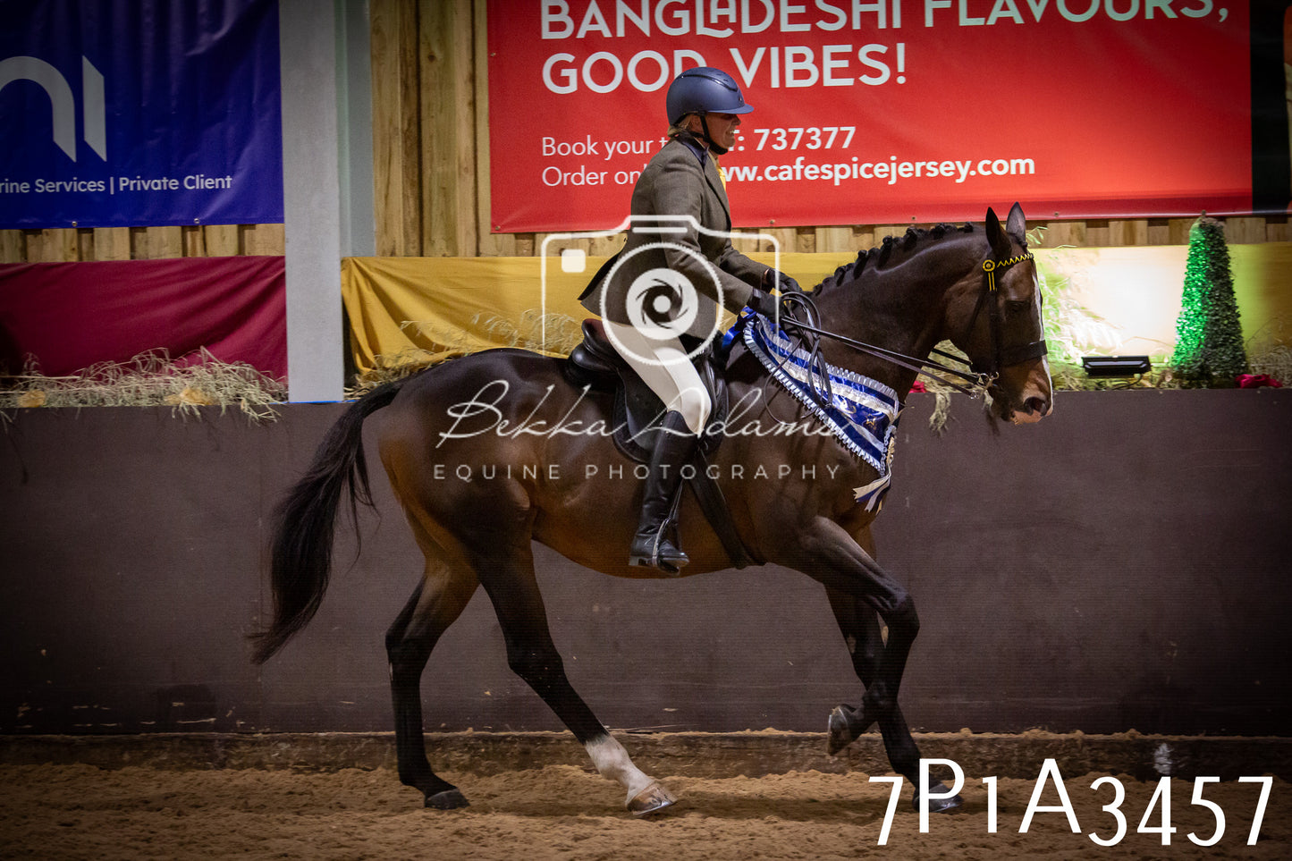 JHOYS 2025 - Ridden Showing - 28th September - pt4