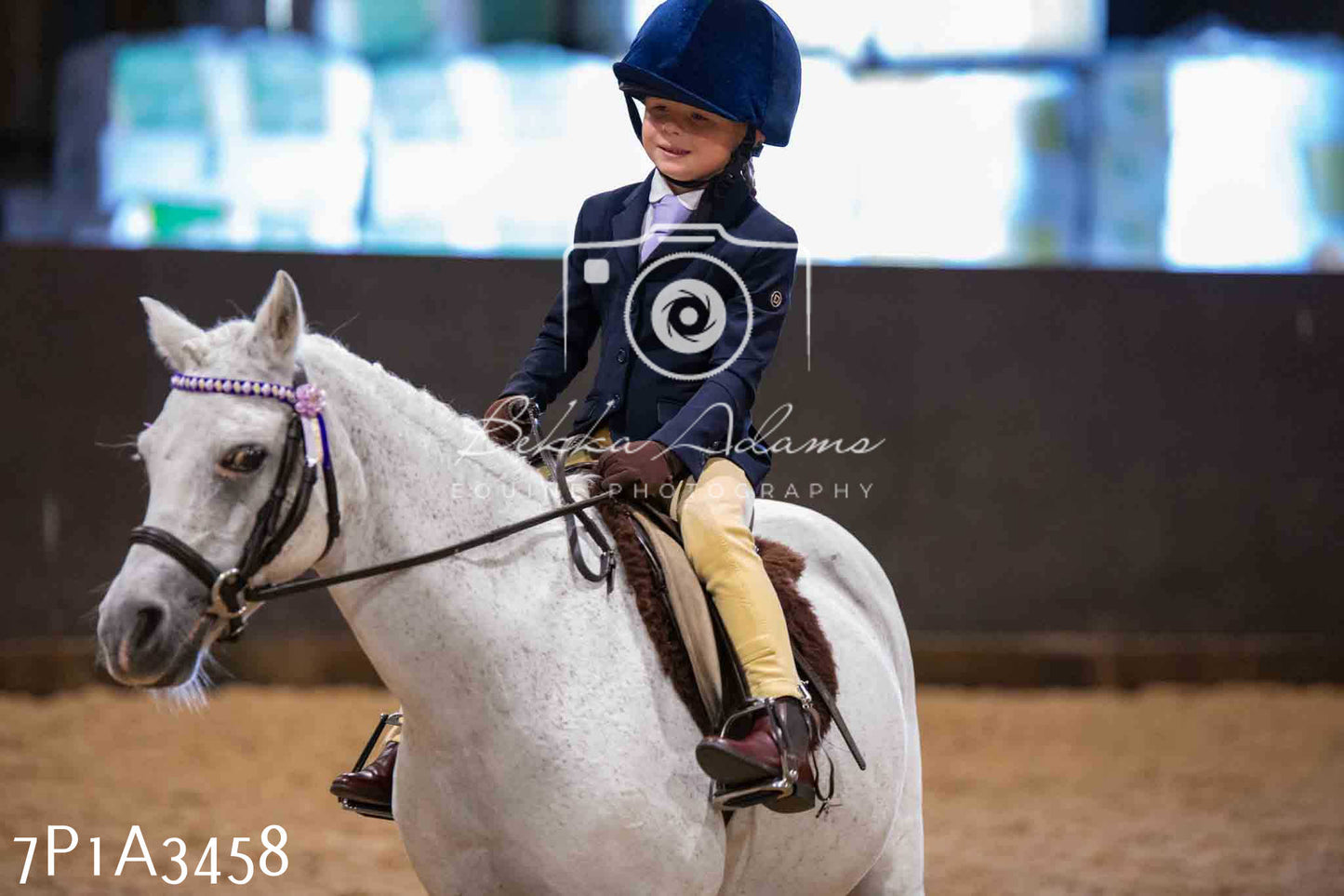 Home Farm Funshine Show 2024 - Ridden Showing 15th September