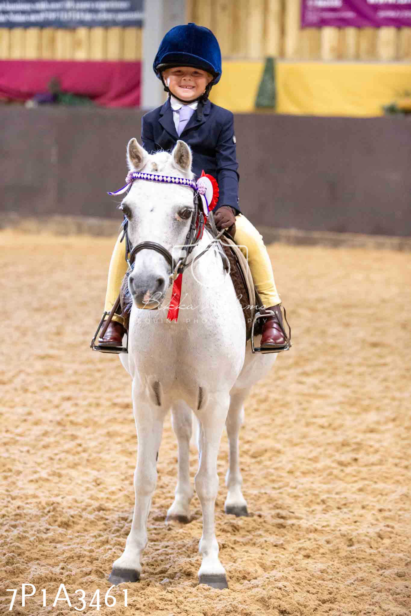 Home Farm Funshine Show 2024 - Ridden Showing 15th September