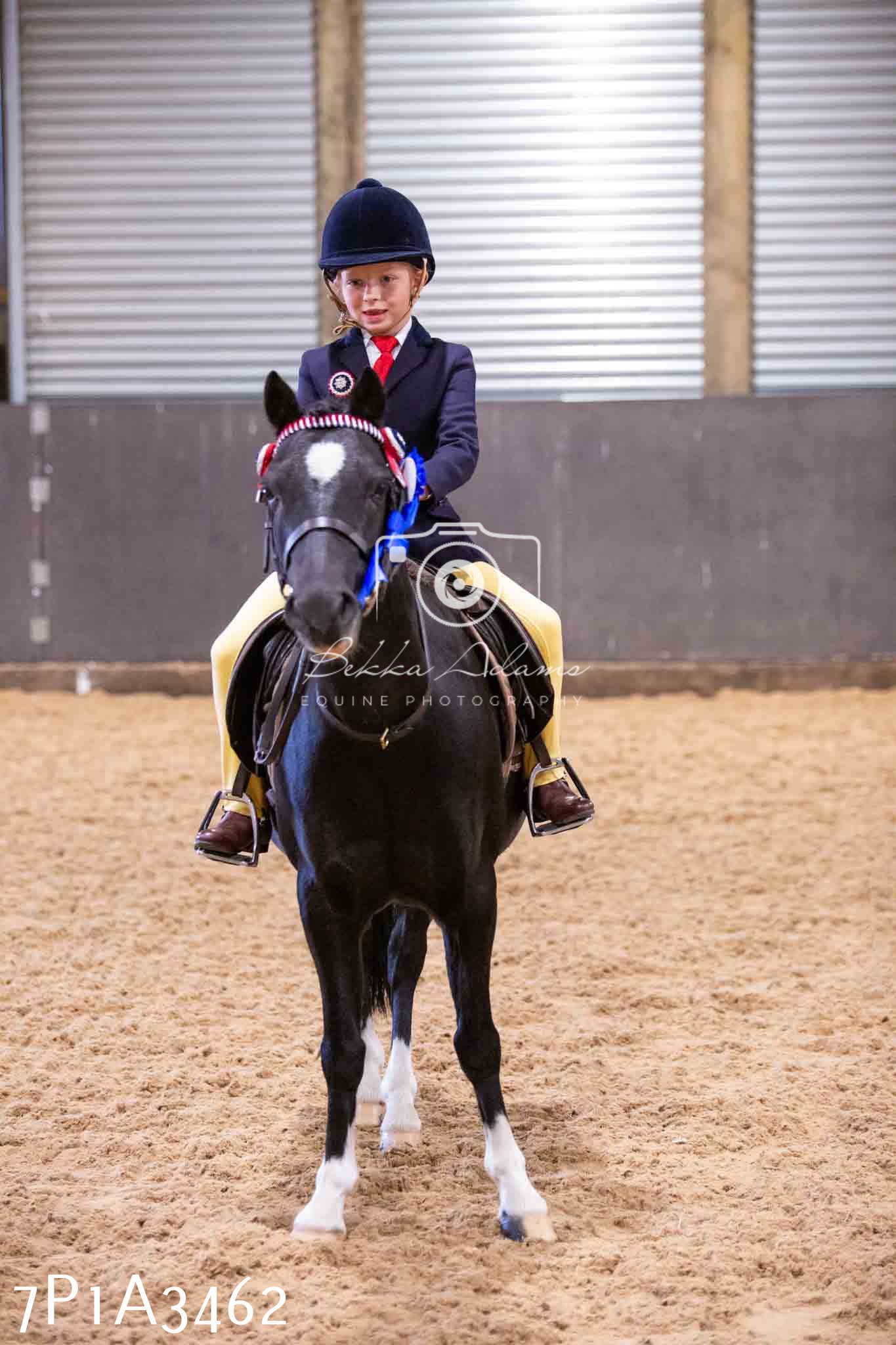 Home Farm Funshine Show 2024 - Ridden Showing 15th September