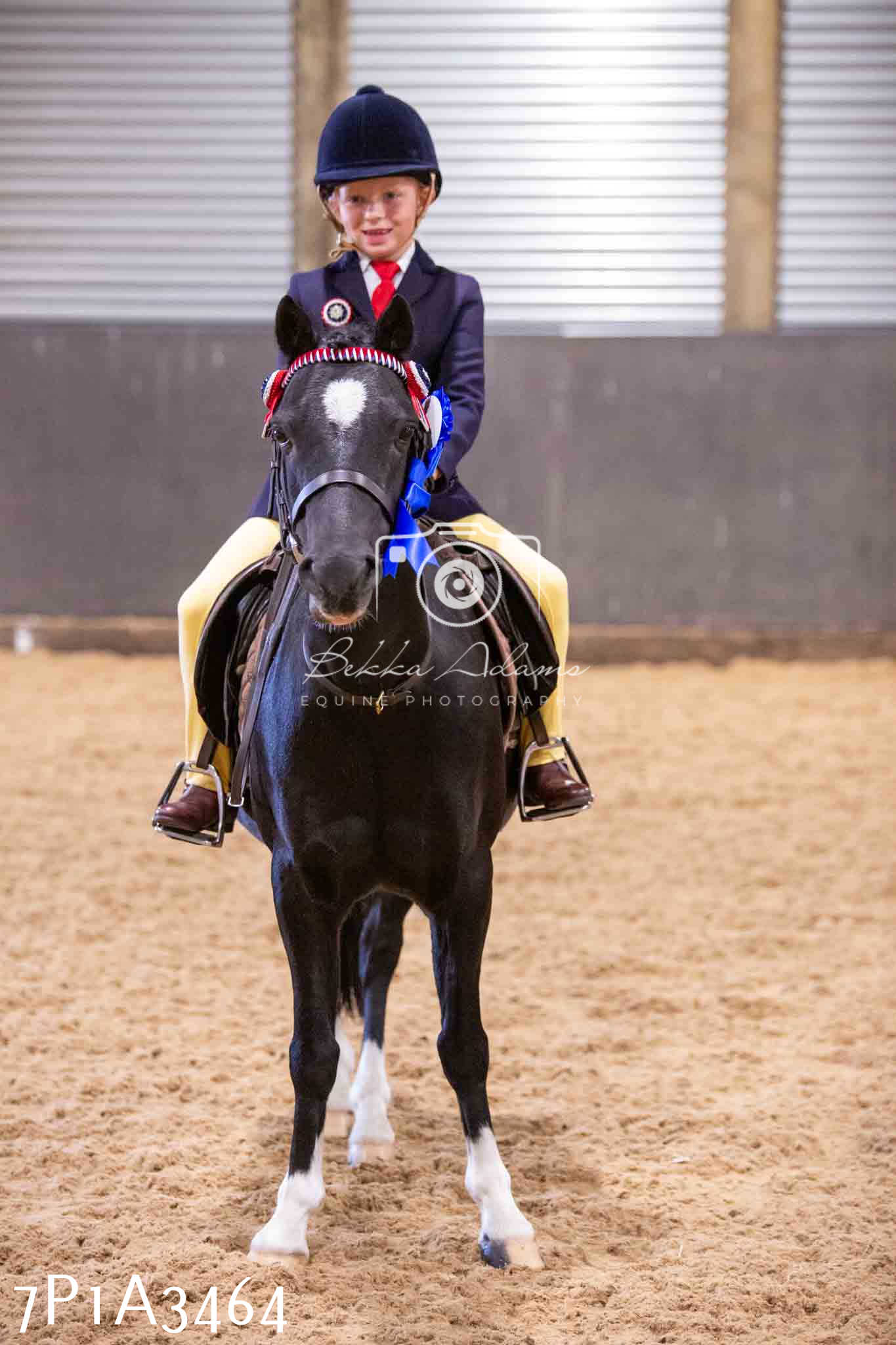 Home Farm Funshine Show 2024 - Ridden Showing 15th September