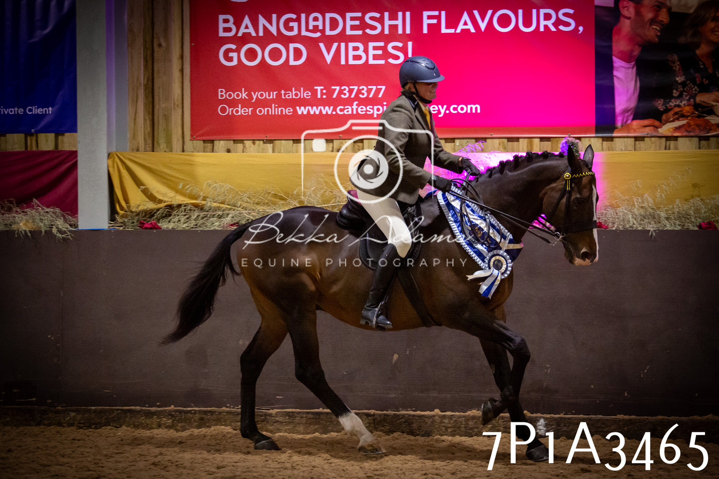 JHOYS 2025 - Ridden Showing - 28th September - pt4