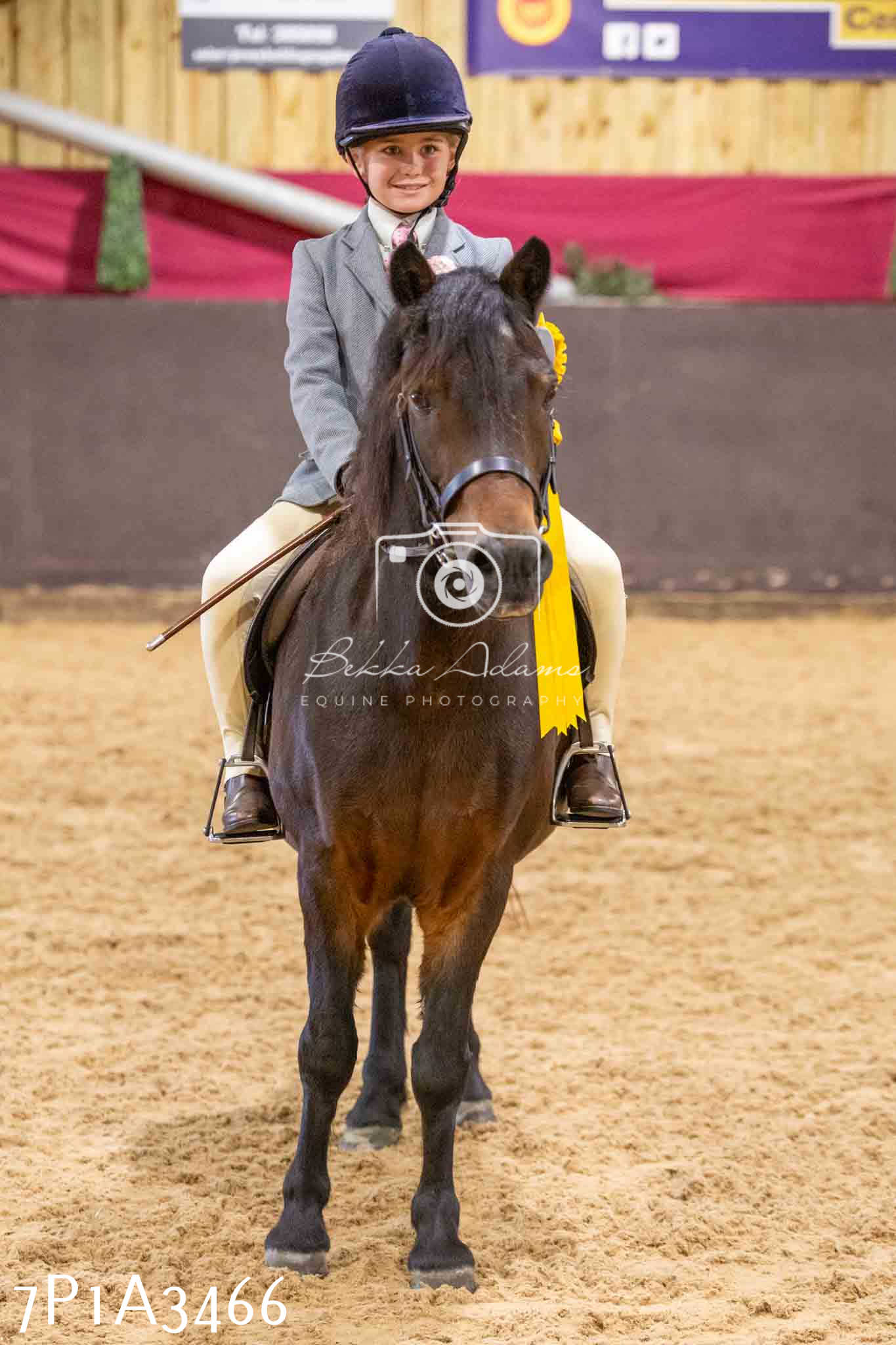 Home Farm Funshine Show 2024 - Ridden Showing 15th September