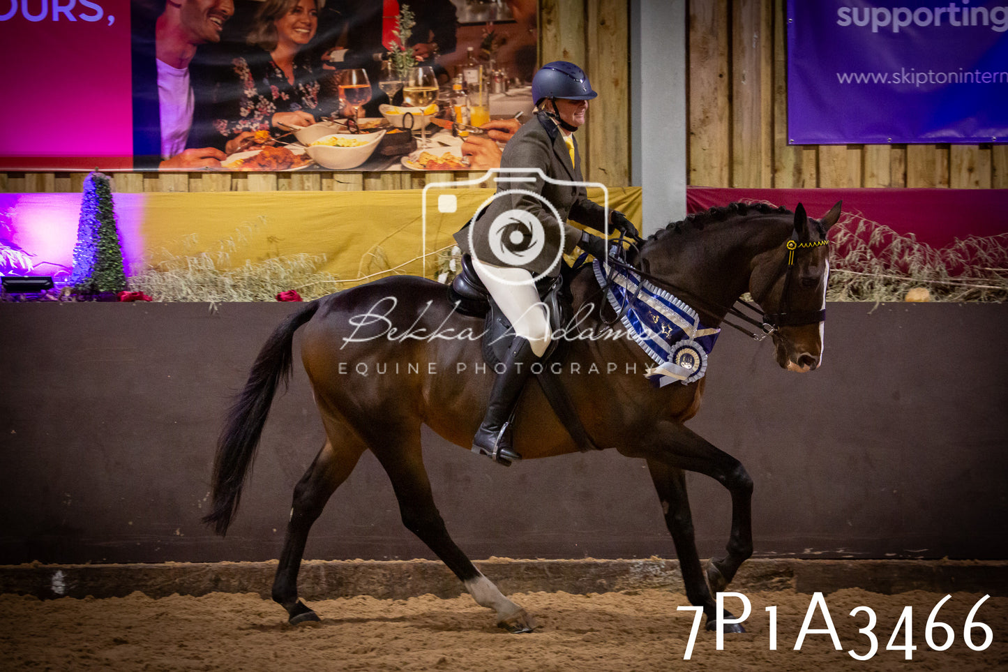 JHOYS 2025 - Ridden Showing - 28th September - pt4