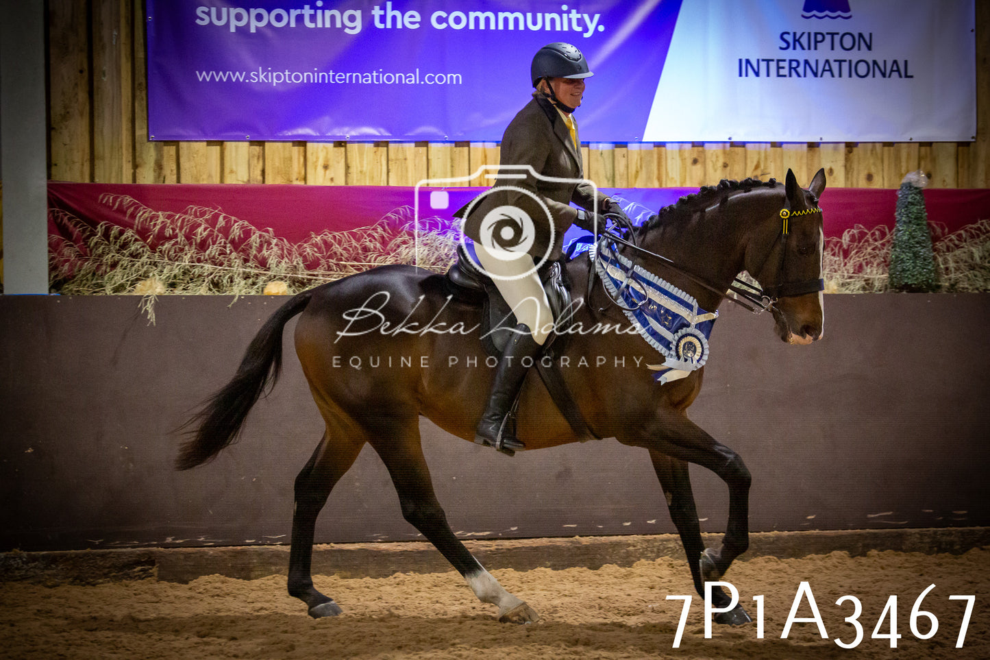 JHOYS 2025 - Ridden Showing - 28th September - pt4