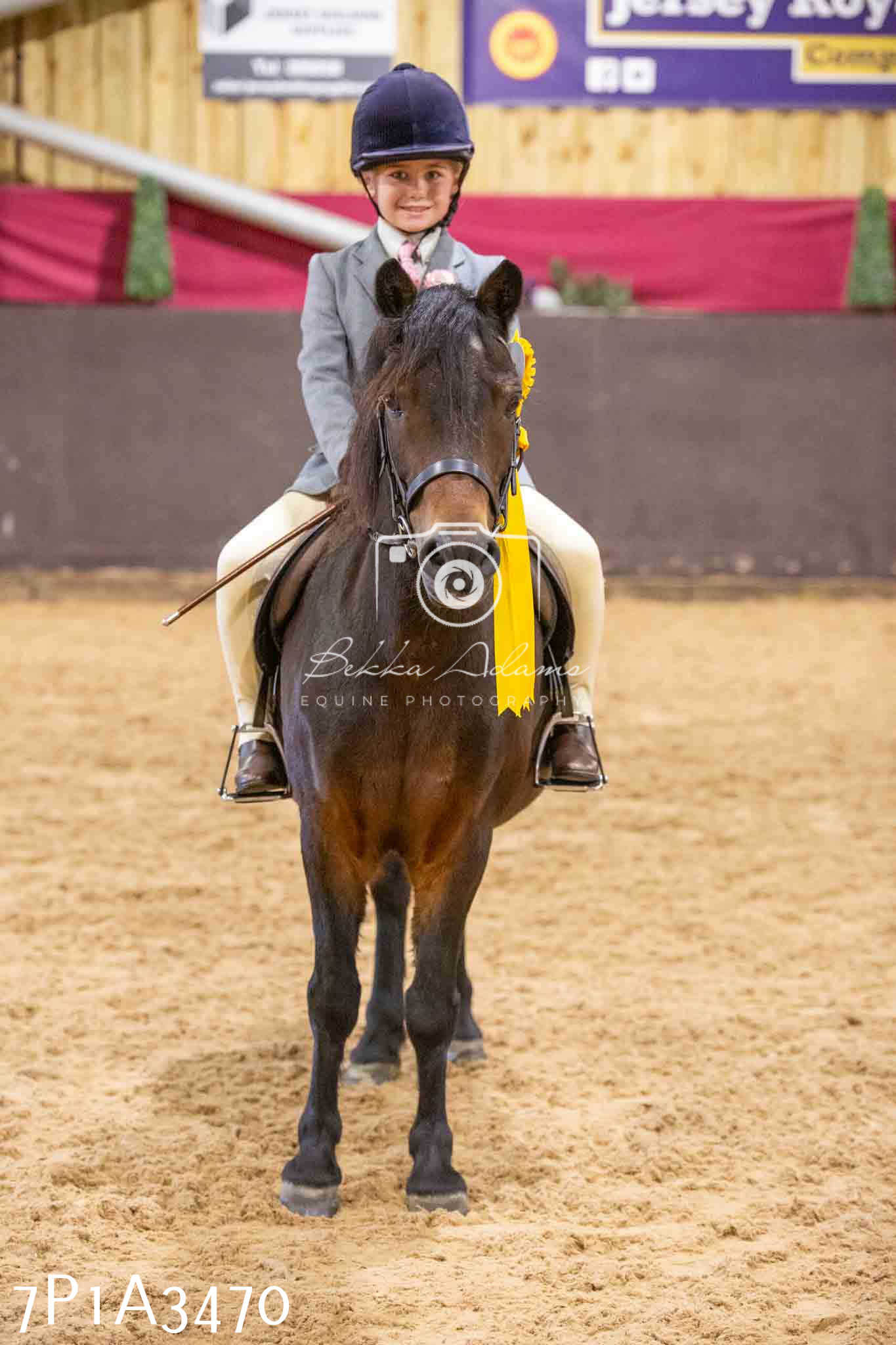 Home Farm Funshine Show 2024 - Ridden Showing 15th September