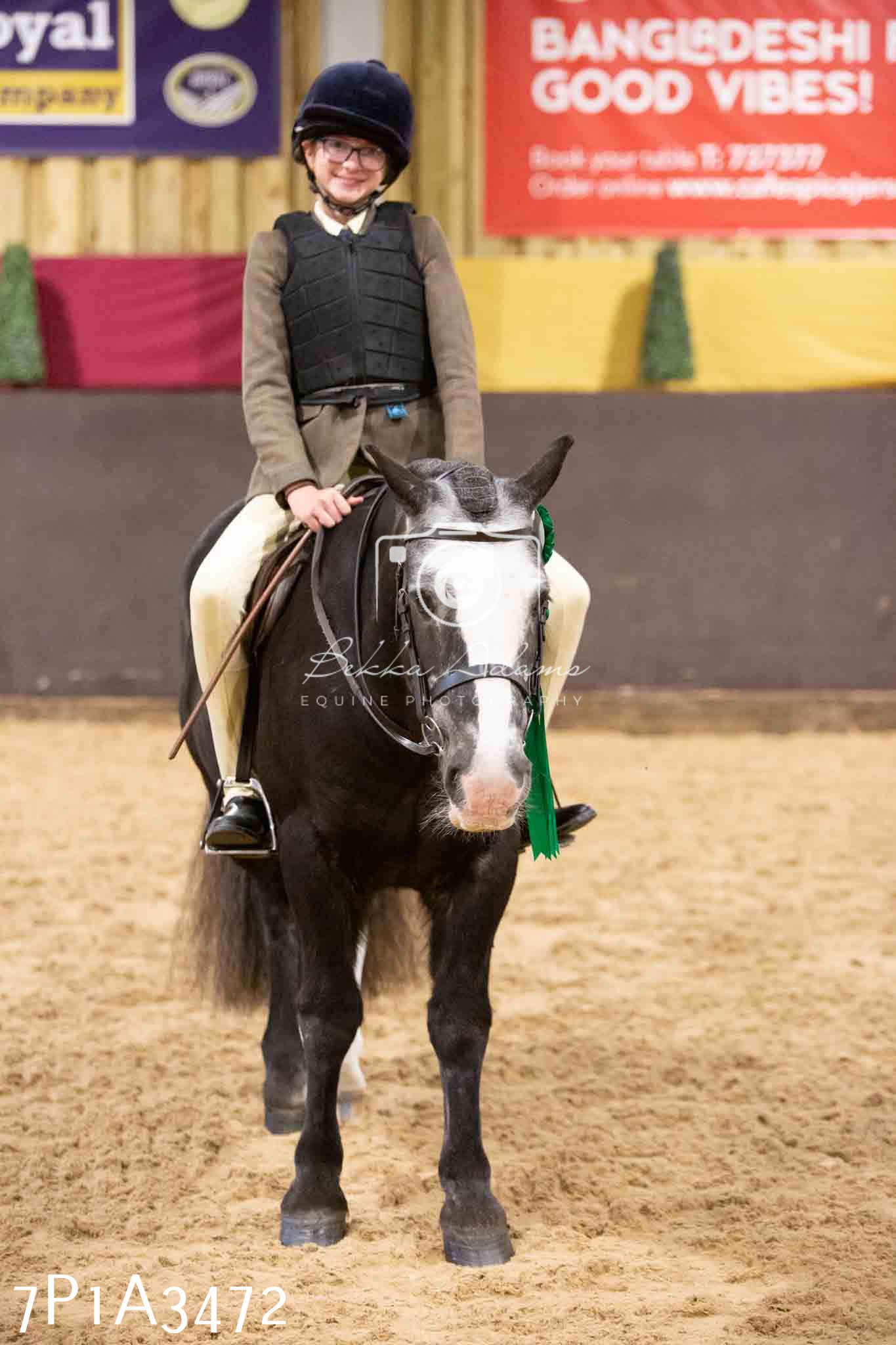 Home Farm Funshine Show 2024 - Ridden Showing 15th September