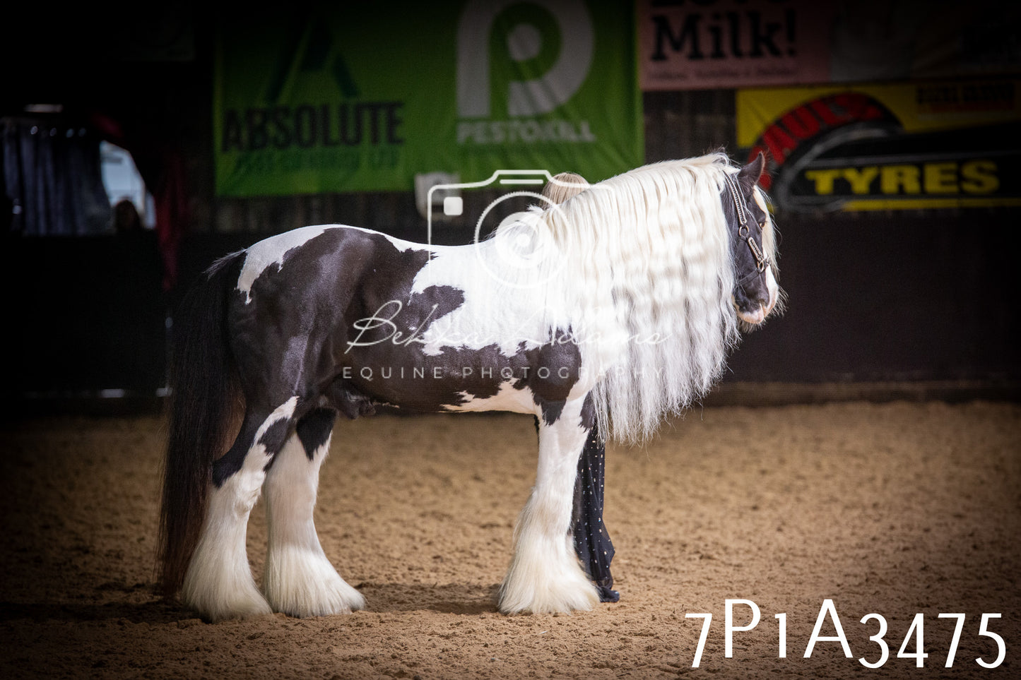 JHOYS 2025 - Ridden Showing - 28th September - pt4