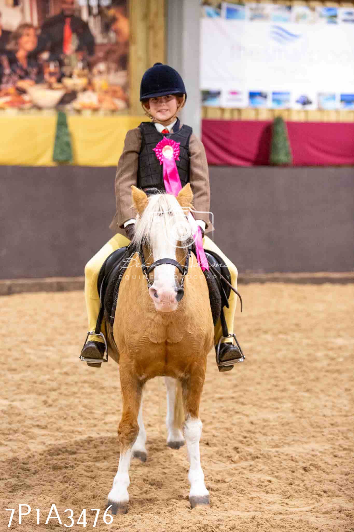 Home Farm Funshine Show 2024 - Ridden Showing 15th September