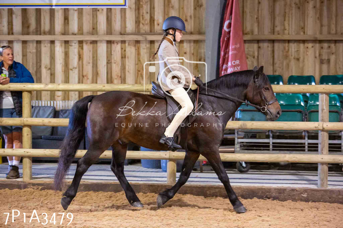 Home Farm Funshine Show 2024 - Ridden Showing 15th September