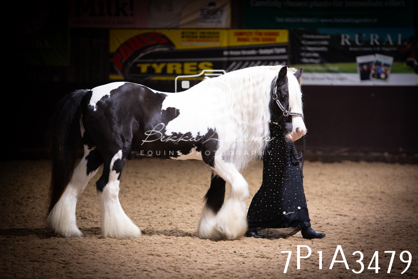 JHOYS 2025 - Ridden Showing - 28th September - pt4