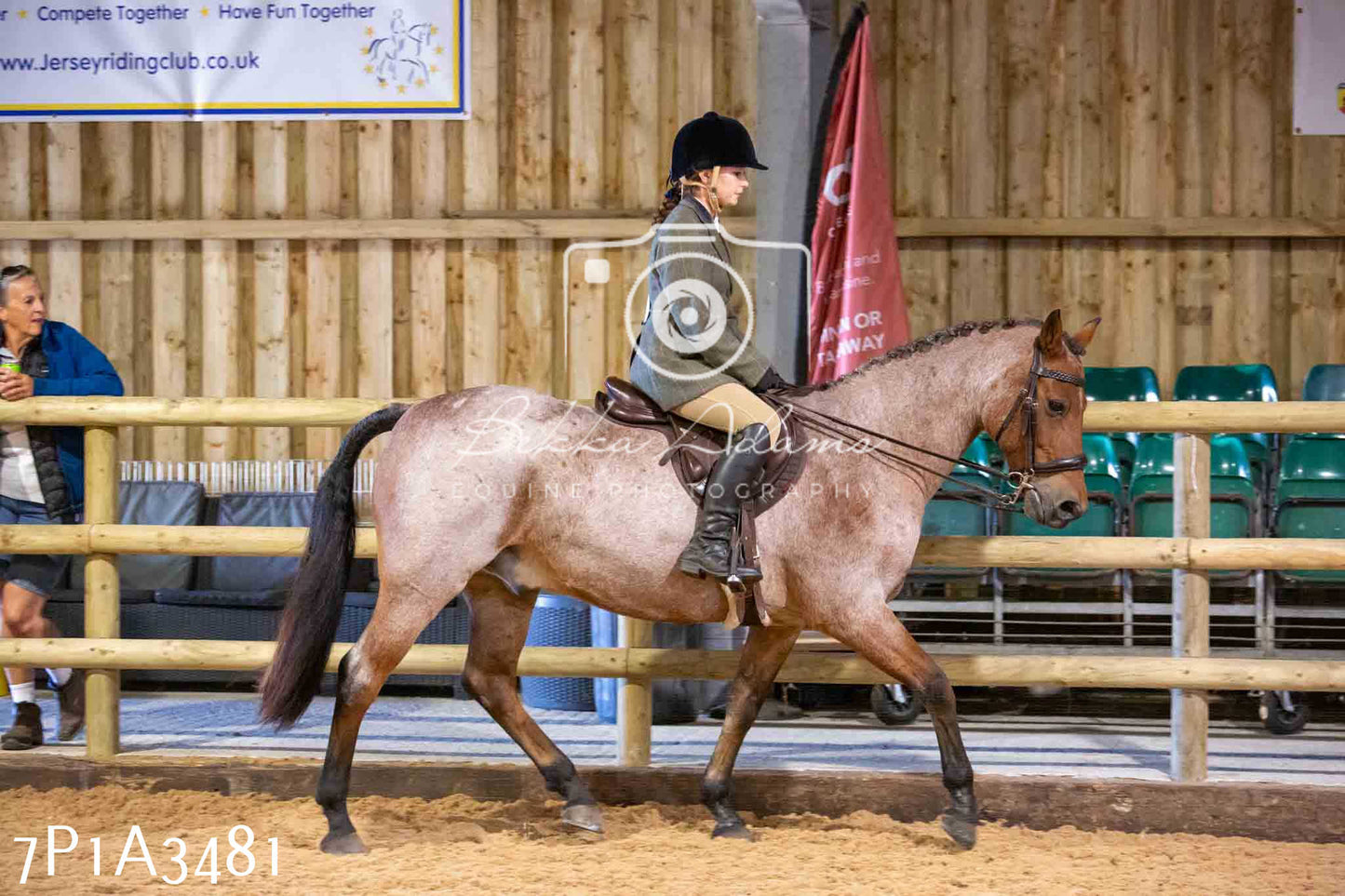 Home Farm Funshine Show 2024 - Ridden Showing 15th September