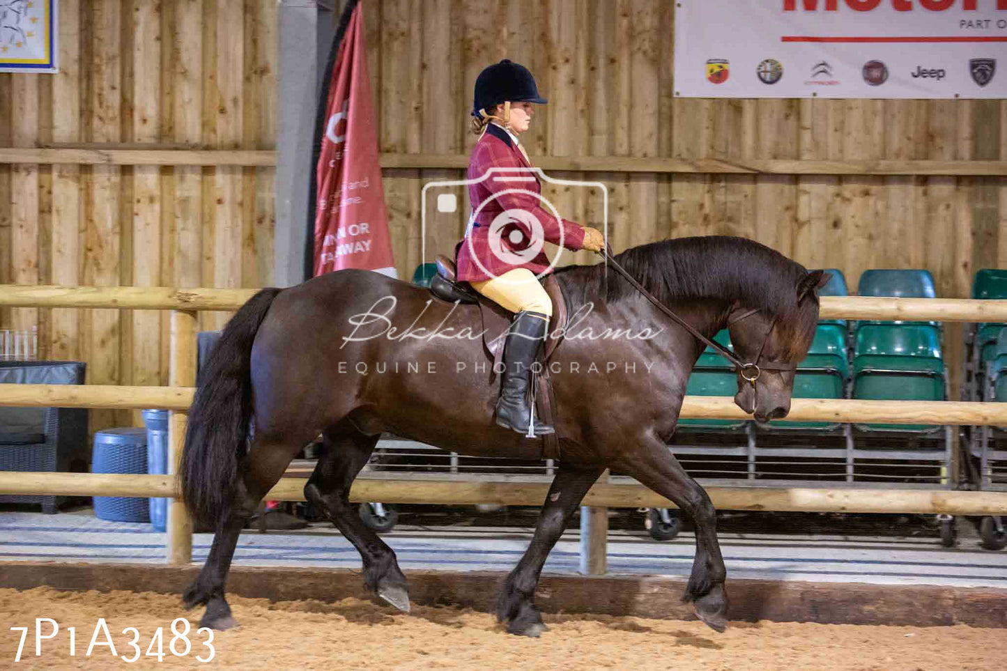 Home Farm Funshine Show 2024 - Ridden Showing 15th September