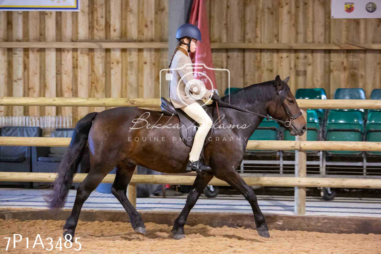 Home Farm Funshine Show 2024 - Ridden Showing 15th September