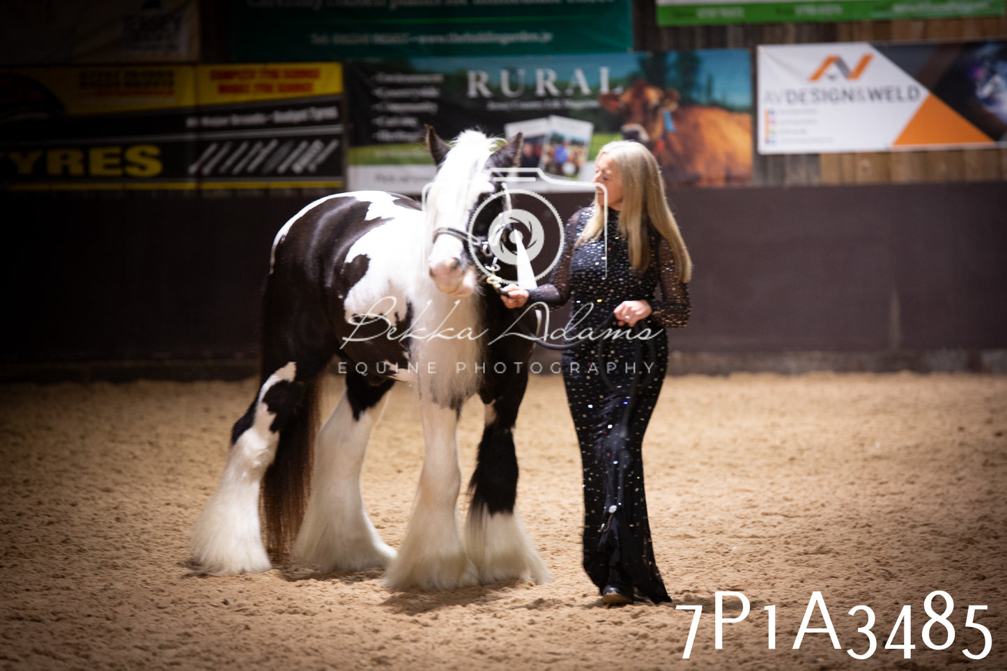 JHOYS 2025 - Ridden Showing - 28th September - pt4