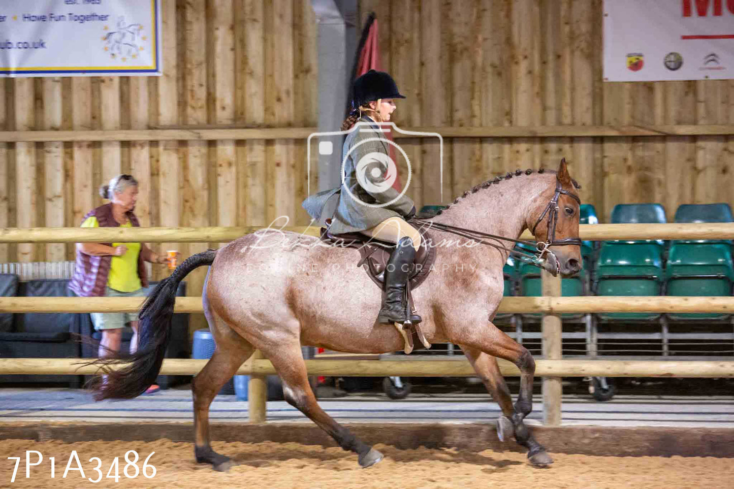 Home Farm Funshine Show 2024 - Ridden Showing 15th September