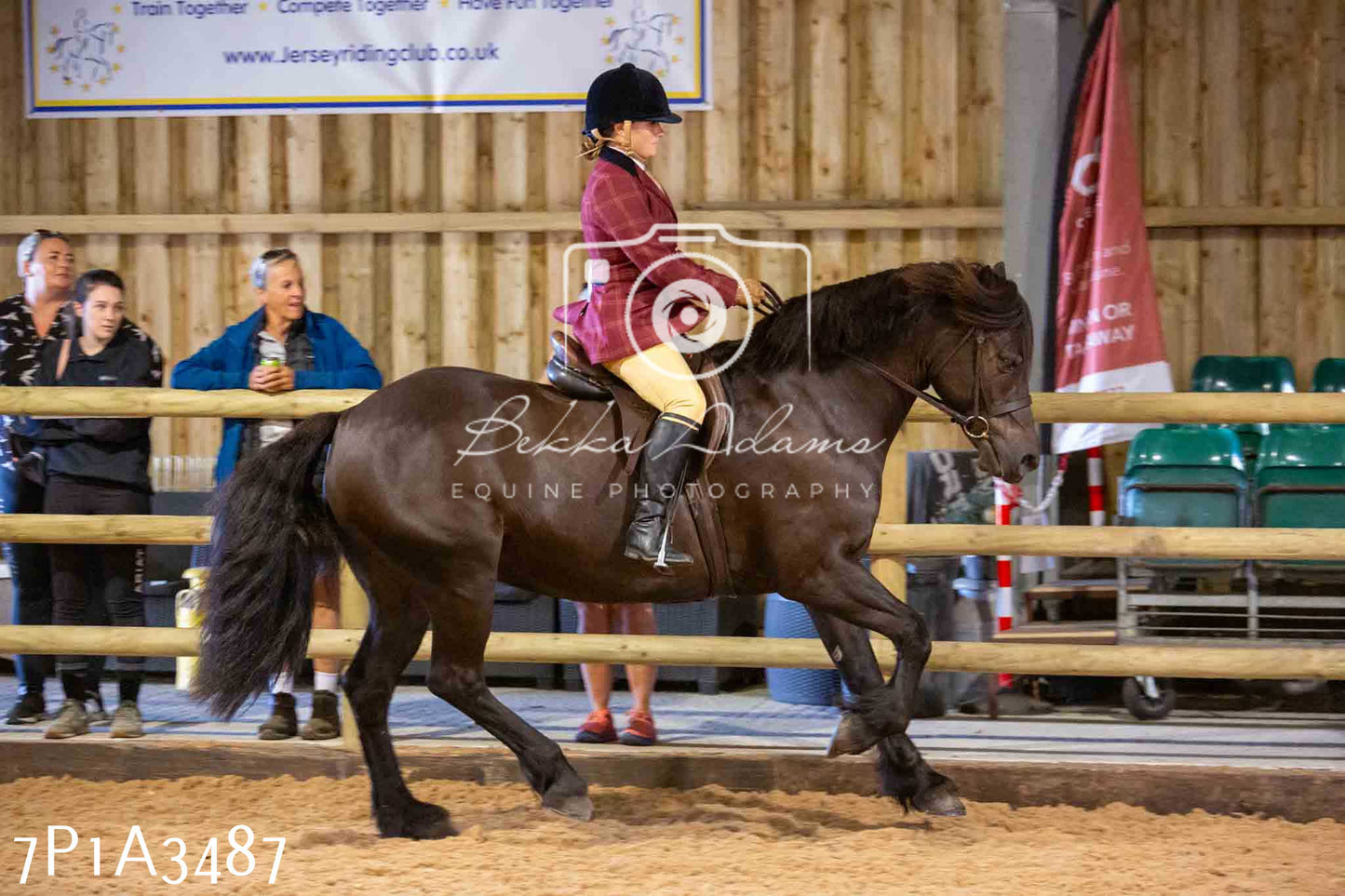 Home Farm Funshine Show 2024 - Ridden Showing 15th September