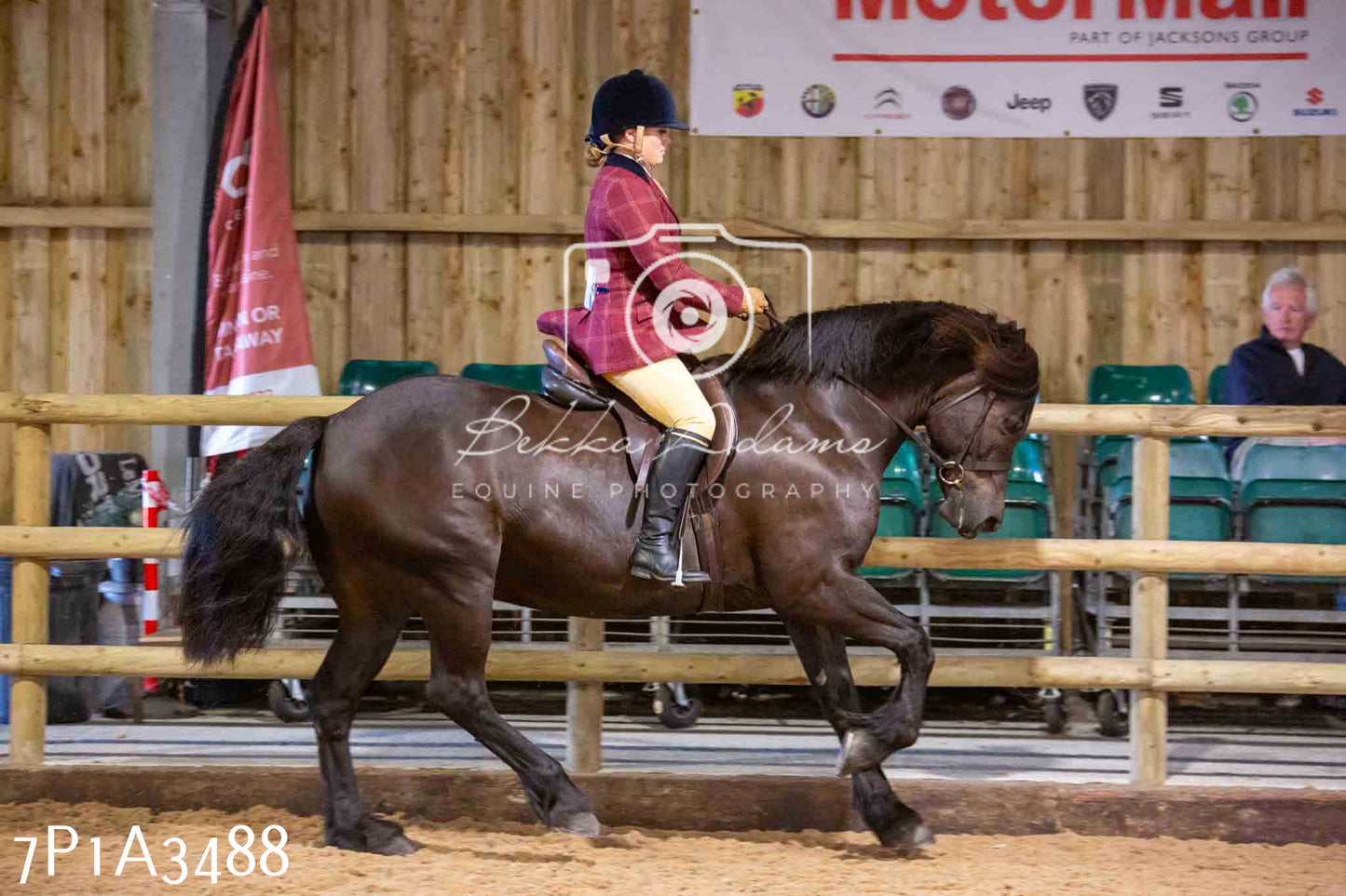 Home Farm Funshine Show 2024 - Ridden Showing 15th September