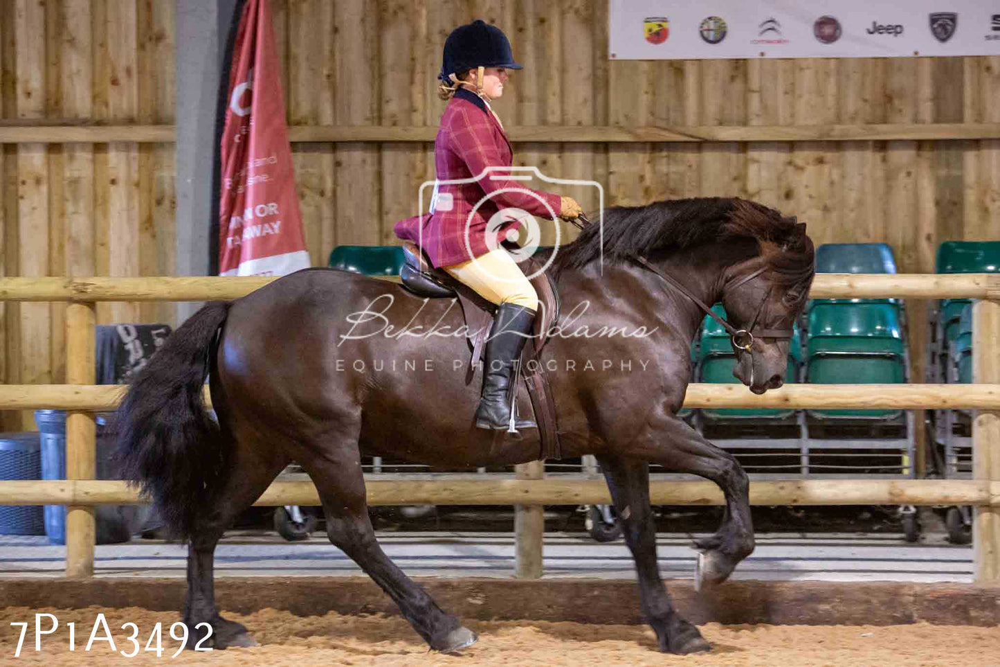 Home Farm Funshine Show 2024 - Ridden Showing 15th September