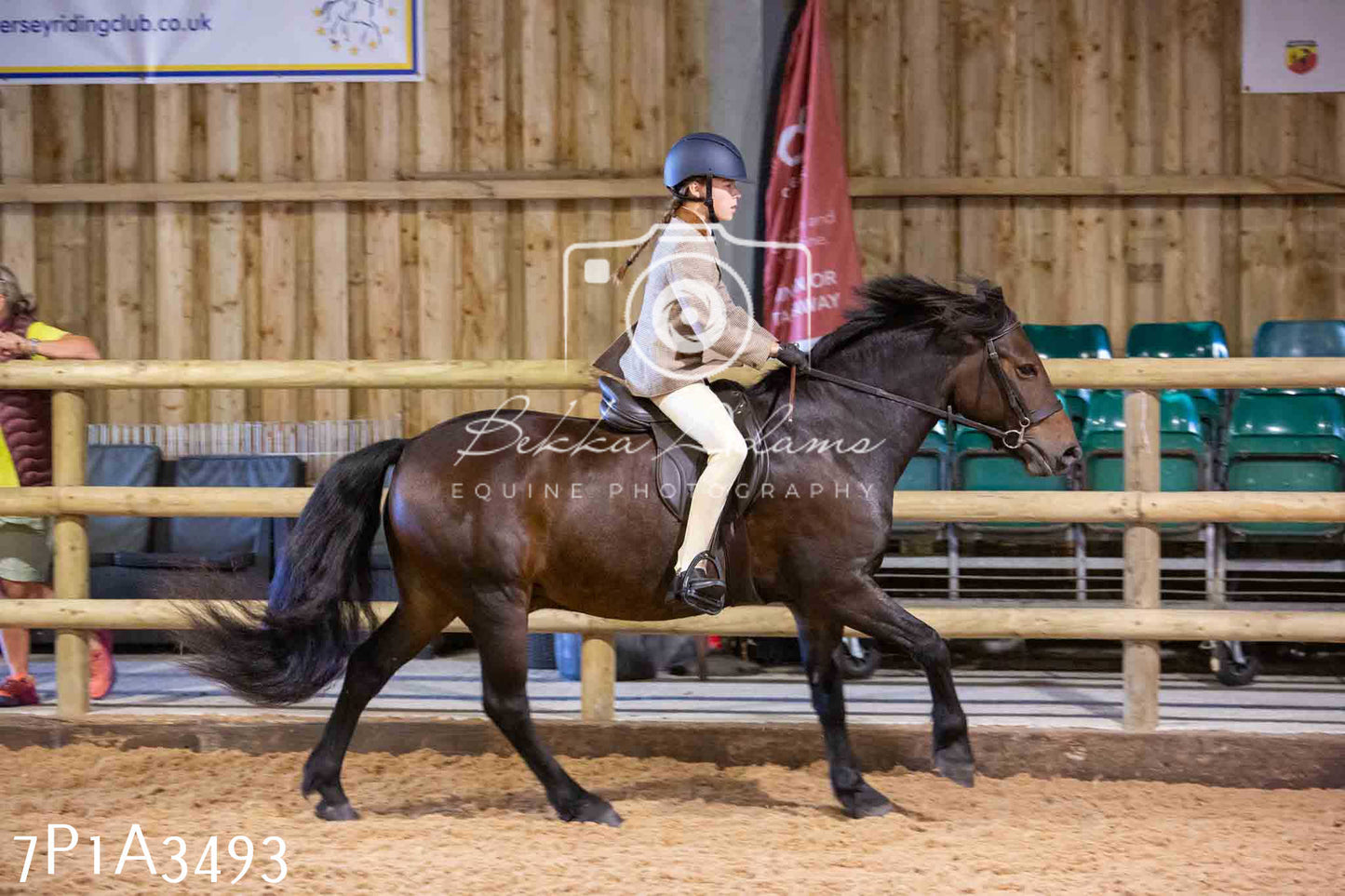 Home Farm Funshine Show 2024 - Ridden Showing 15th September