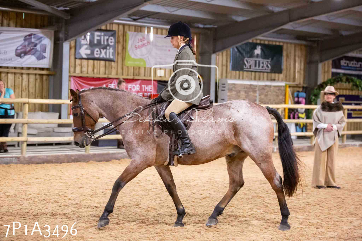 Home Farm Funshine Show 2024 - Ridden Showing 15th September