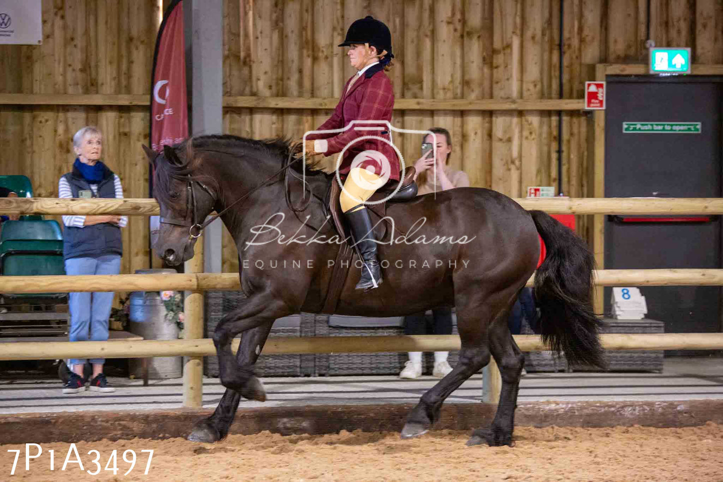 Home Farm Funshine Show 2024 - Ridden Showing 15th September