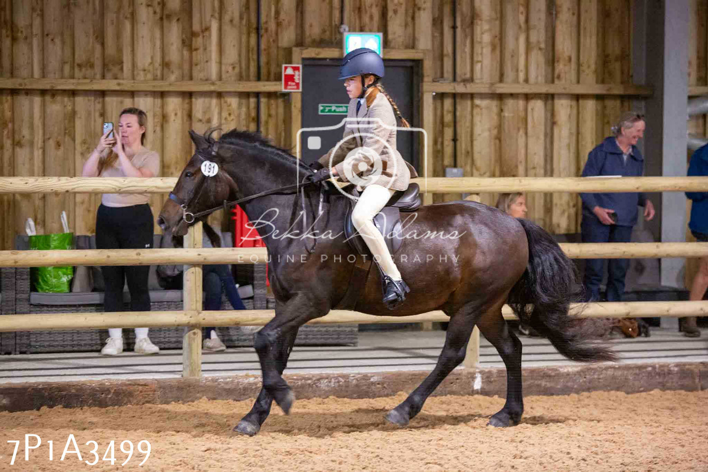 Home Farm Funshine Show 2024 - Ridden Showing 15th September