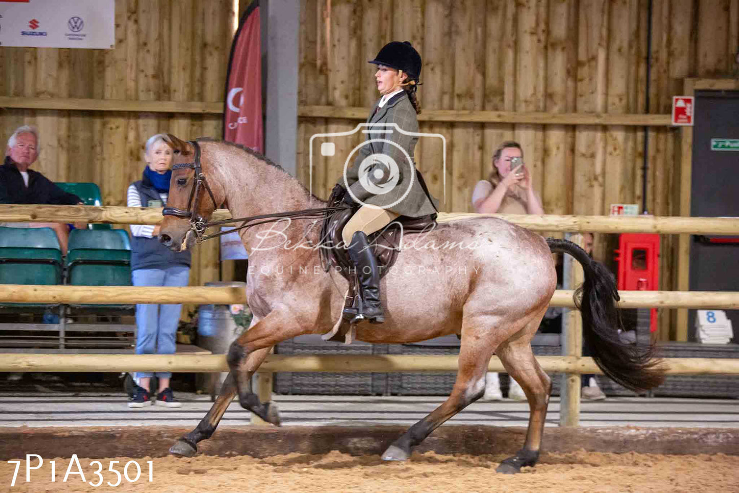 Home Farm Funshine Show 2024 - Ridden Showing 15th September