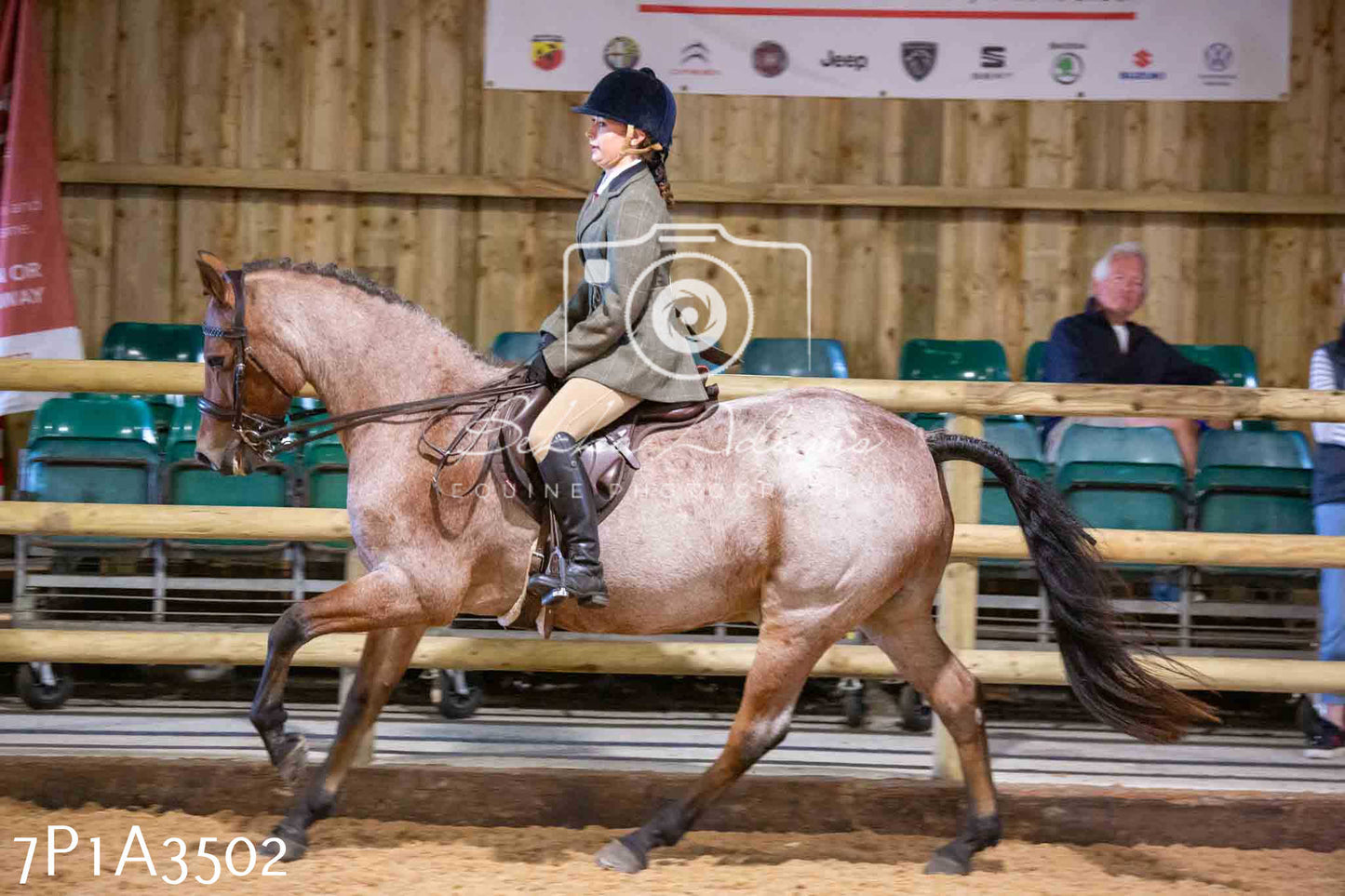 Home Farm Funshine Show 2024 - Ridden Showing 15th September