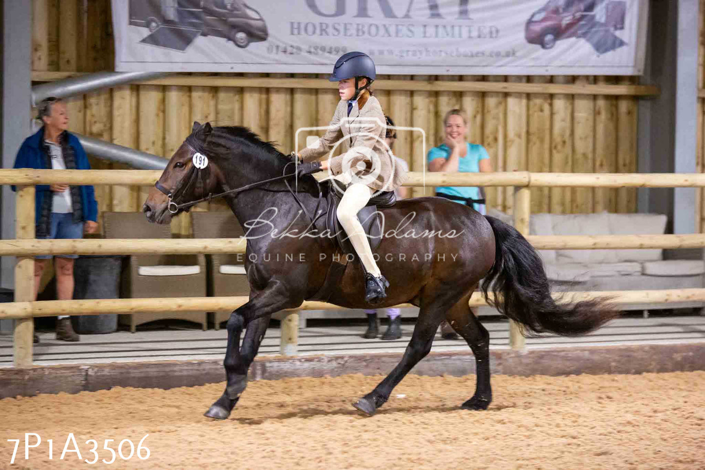 Home Farm Funshine Show 2024 - Ridden Showing 15th September