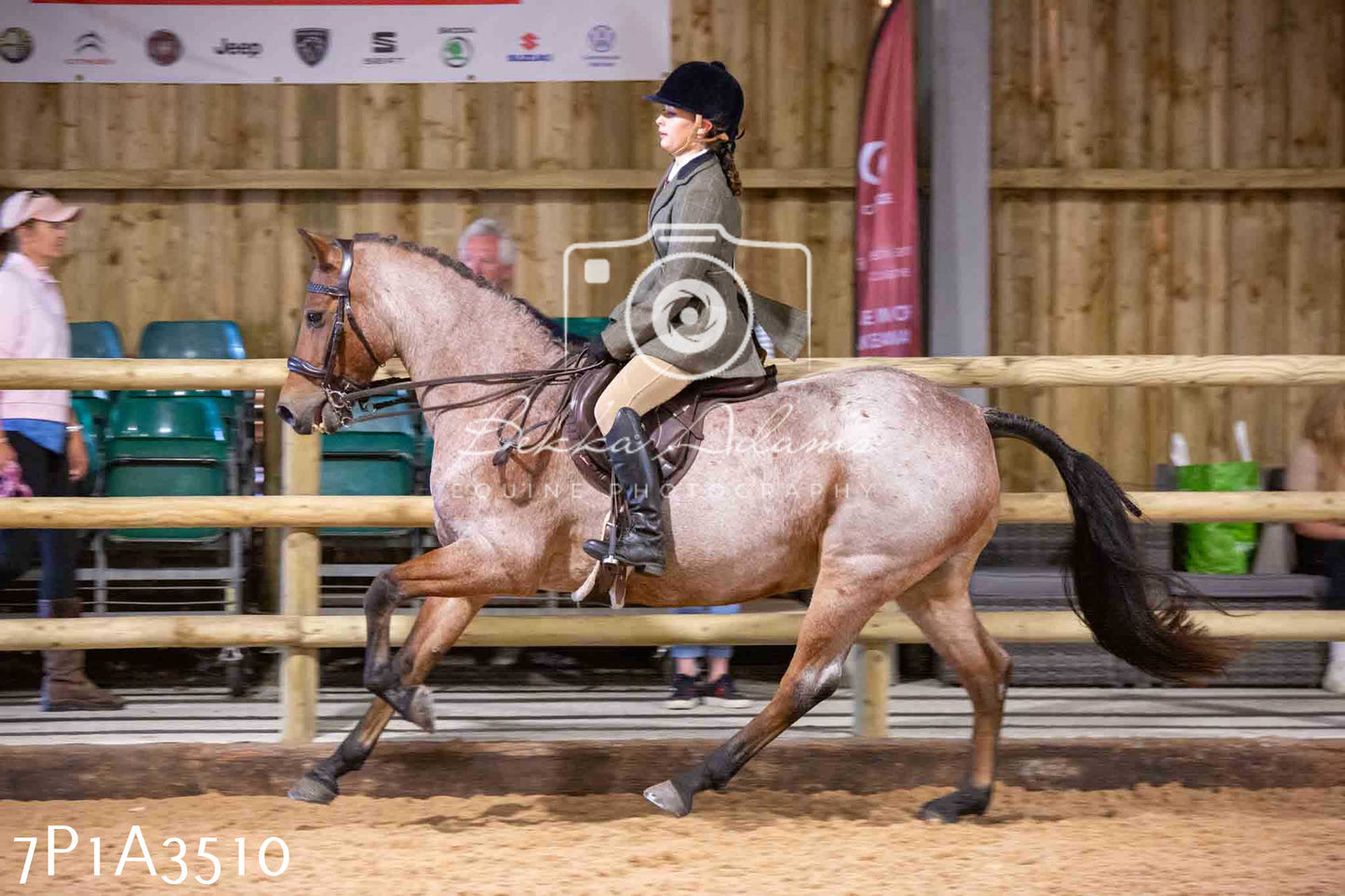 Home Farm Funshine Show 2024 - Ridden Showing 15th September