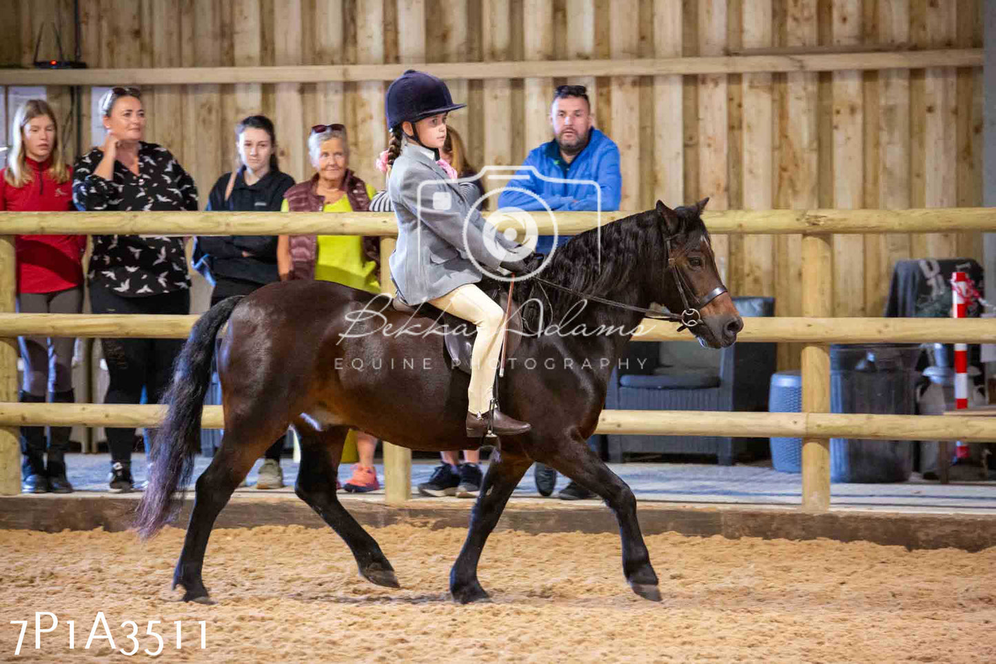 Home Farm Funshine Show 2024 - Ridden Showing 15th September