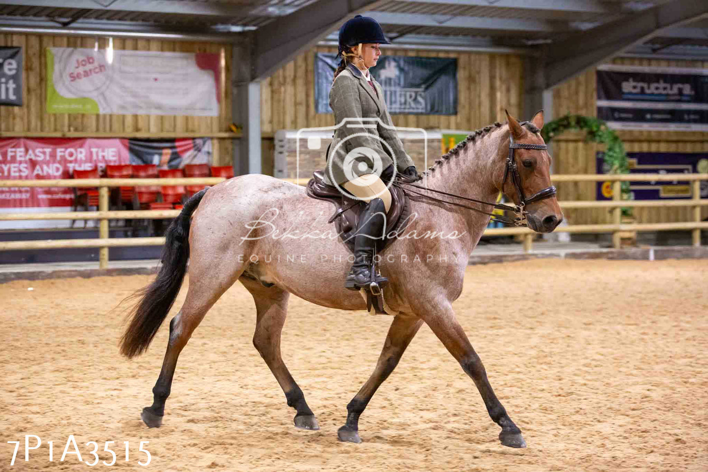 Home Farm Funshine Show 2024 - Ridden Showing 15th September