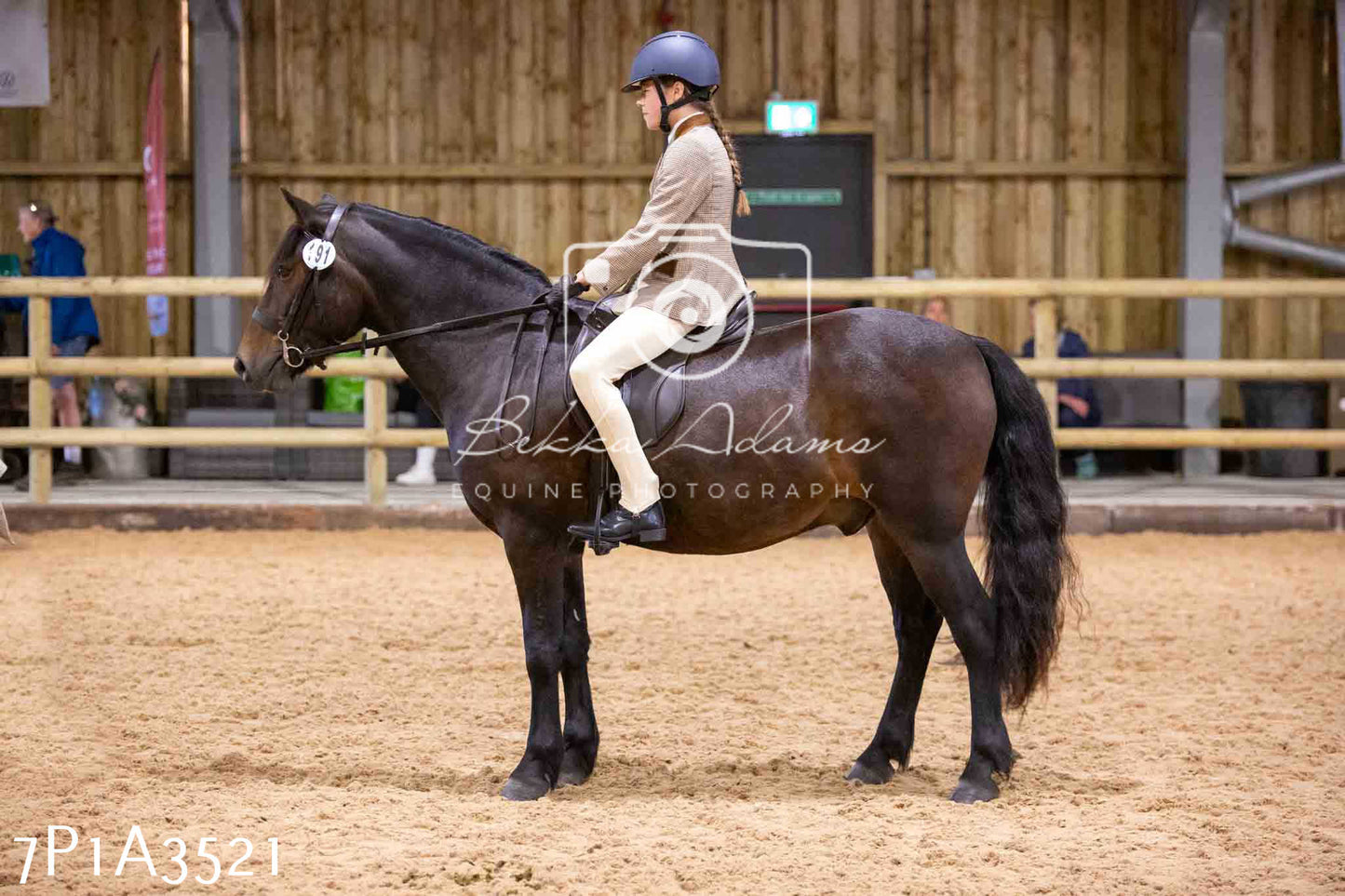 Home Farm Funshine Show 2024 - Ridden Showing 15th September