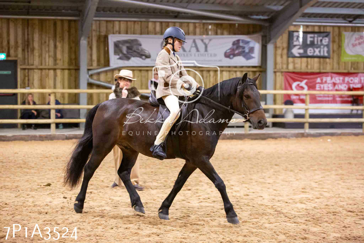 Home Farm Funshine Show 2024 - Ridden Showing 15th September