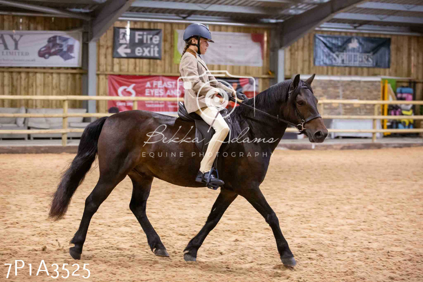 Home Farm Funshine Show 2024 - Ridden Showing 15th September