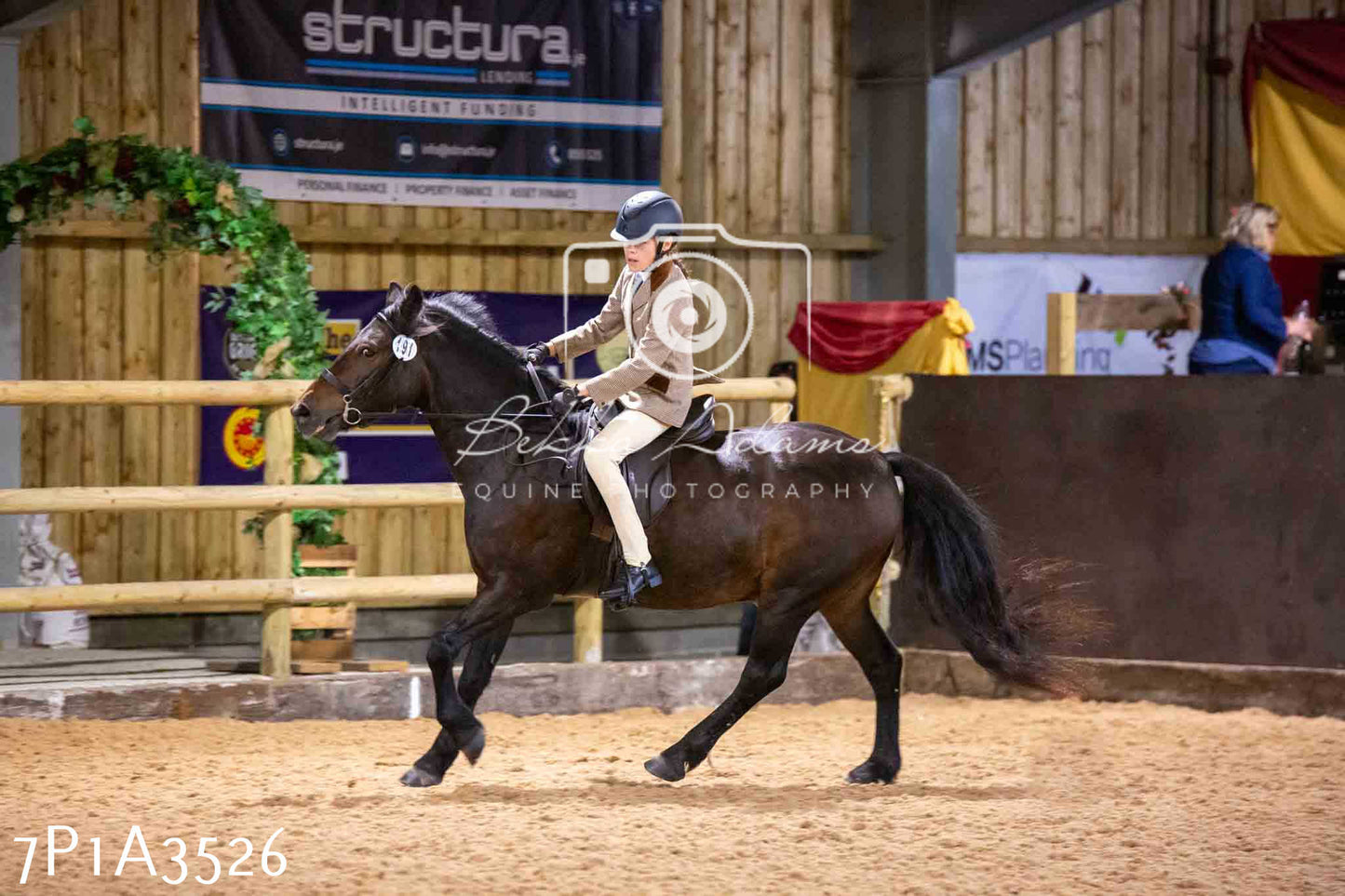 Home Farm Funshine Show 2024 - Ridden Showing 15th September