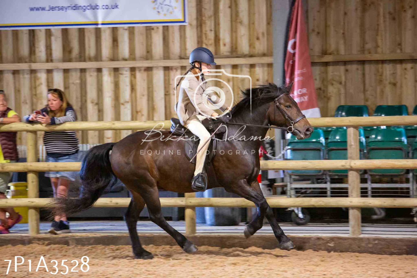 Home Farm Funshine Show 2024 - Ridden Showing 15th September