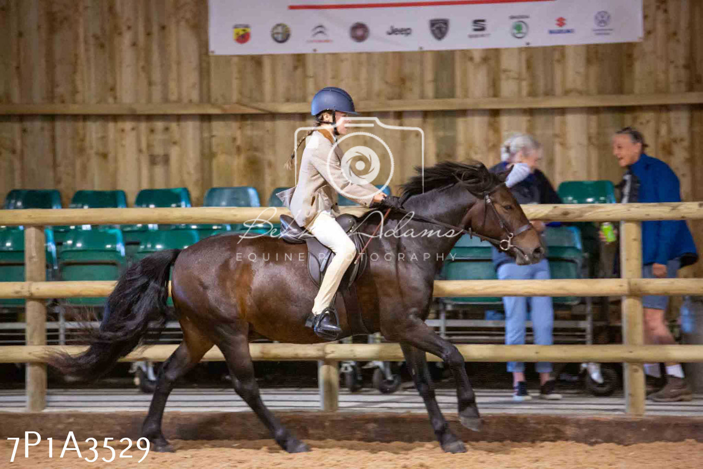 Home Farm Funshine Show 2024 - Ridden Showing 15th September