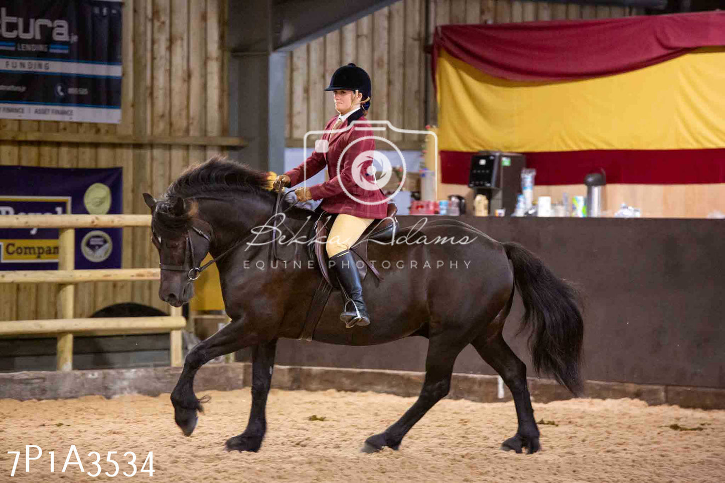 Home Farm Funshine Show 2024 - Ridden Showing 15th September