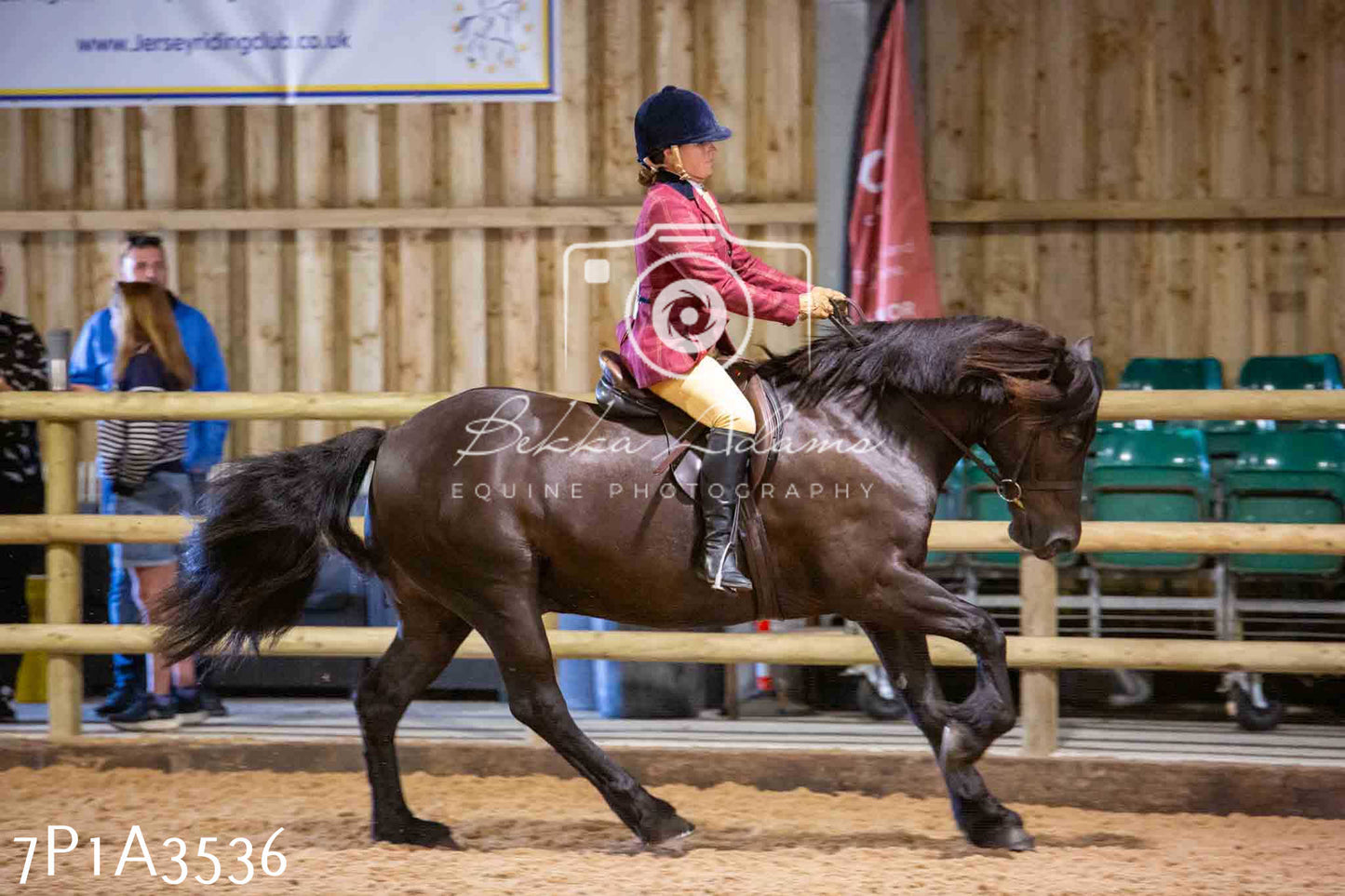 Home Farm Funshine Show 2024 - Ridden Showing 15th September