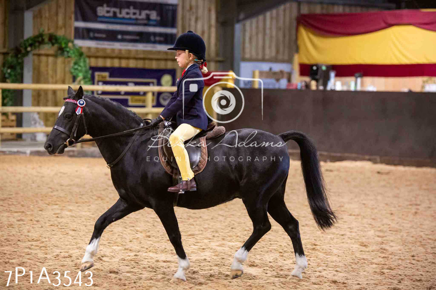 Home Farm Funshine Show 2024 - Ridden Showing 15th September